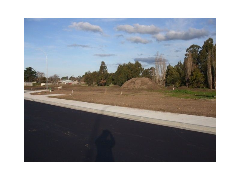 47 Cromwell Street, Perth TAS 7300