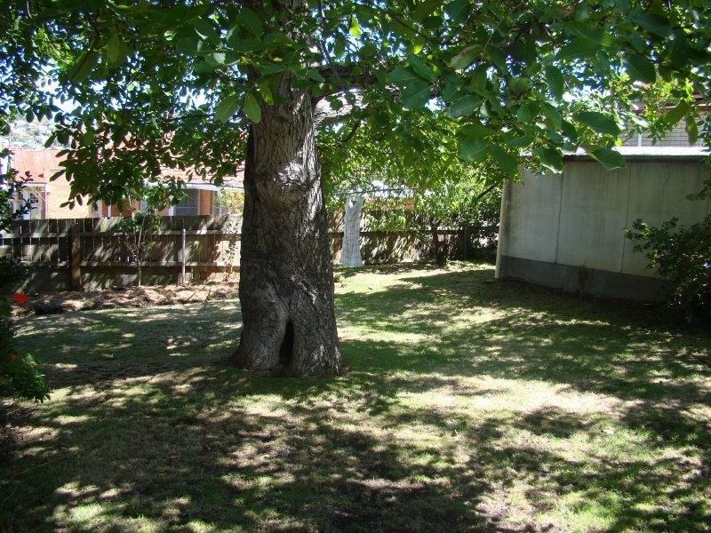 184 St John Street, Launceston TAS 7250
