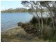 14 Flinders Street, Beauty Point TAS 7270