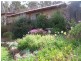 123 Kayena Road, Kayena TAS 7270