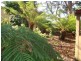 123 Kayena Road, Kayena TAS 7270