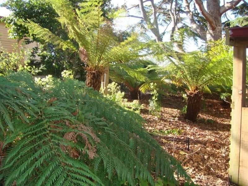 123 Kayena Road, Kayena TAS 7270