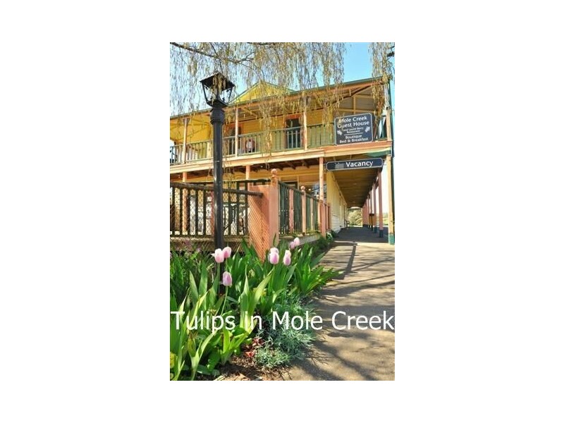 100 Pioneer Drive, Mole Creek TAS 7304