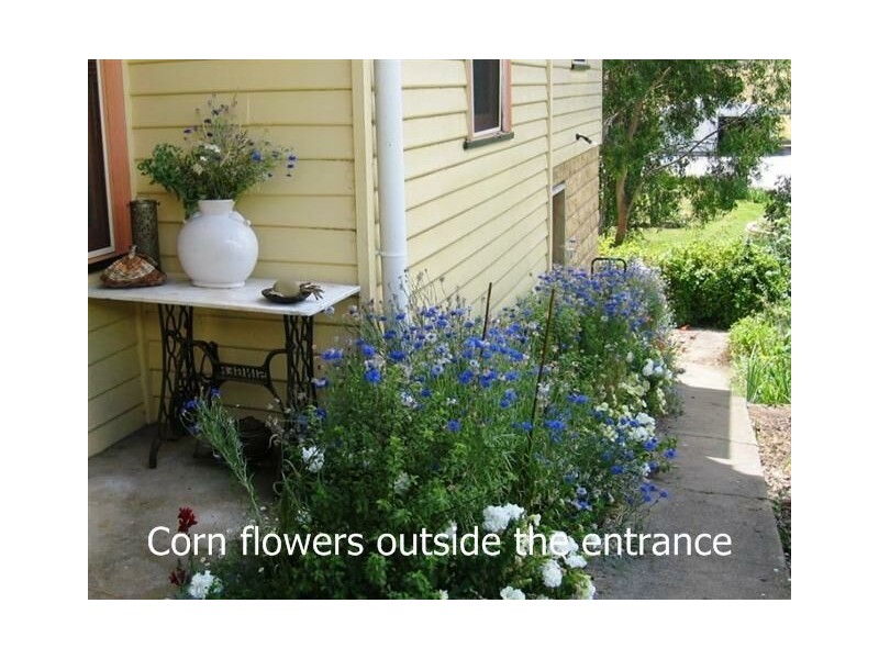 100 Pioneer Drive, Mole Creek TAS 7304