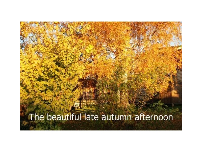 100 Pioneer Drive, Mole Creek TAS 7304