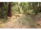 11 Denison Road, West Launceston TAS 7250