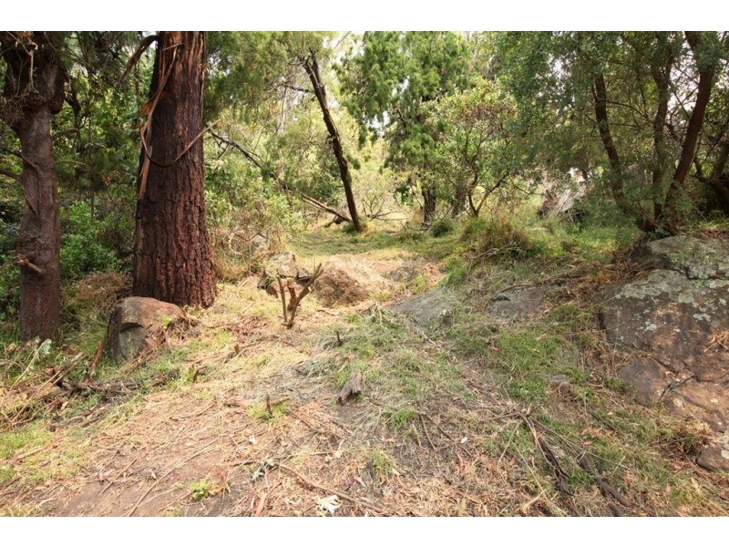 11 Denison Road, West Launceston TAS 7250