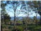 1929 East Tamar Highway, Dilston TAS 7252
