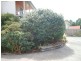 5/7-9 Flinders Street, Beauty Point TAS 7270