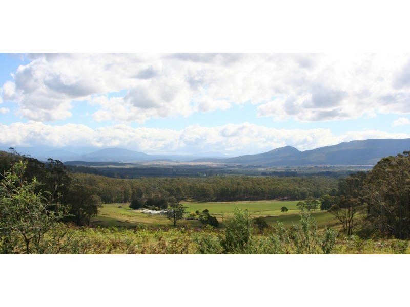 701 Elephant Pass Road, Gray TAS 7215