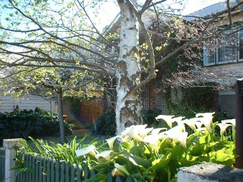 51 Abbott Street, East Launceston TAS 7250
