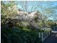 51 Abbott Street, East Launceston TAS 7250