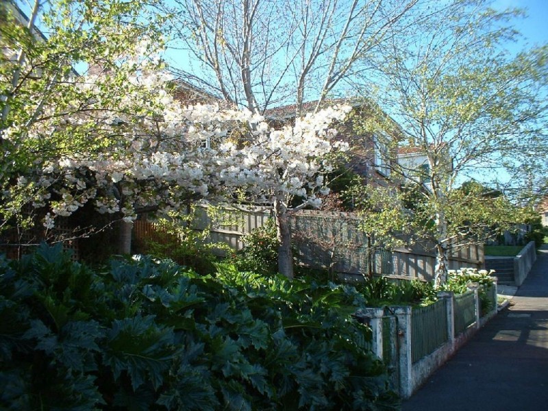 51 Abbott Street, East Launceston TAS 7250
