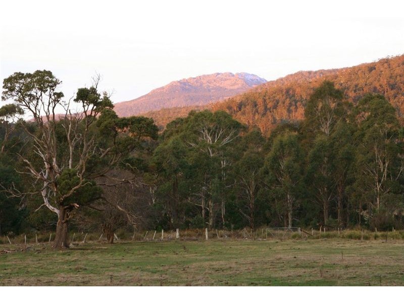 39419 Tasman Highway, Nunamara TAS 7259