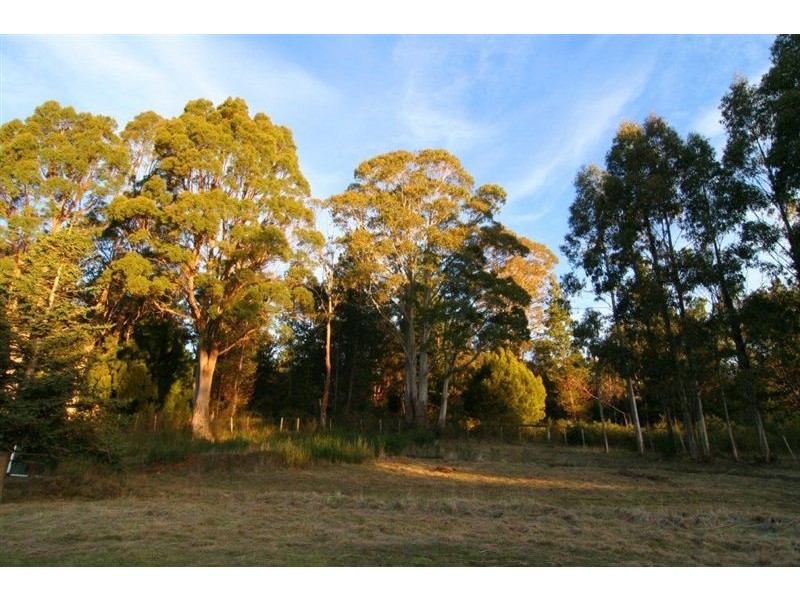 39419 Tasman Highway, Nunamara TAS 7259