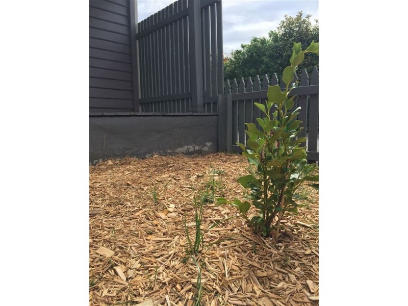 7 Oswald Street, Invermay TAS 7248