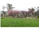 18 Far View Avenue, Riverside TAS 7250