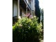 19 West Tamar Road, Trevallyn TAS 7250