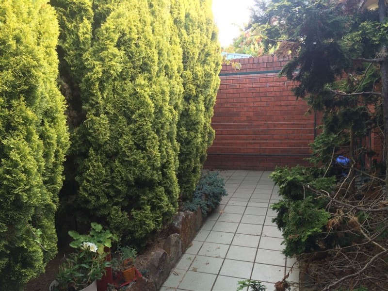 1/10 Diana Court, Riverside TAS 7250