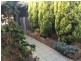 1/10 Diana Court, Riverside TAS 7250