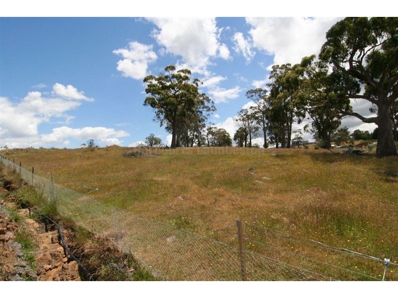 71 Peddie Drive, Dilston TAS 7252