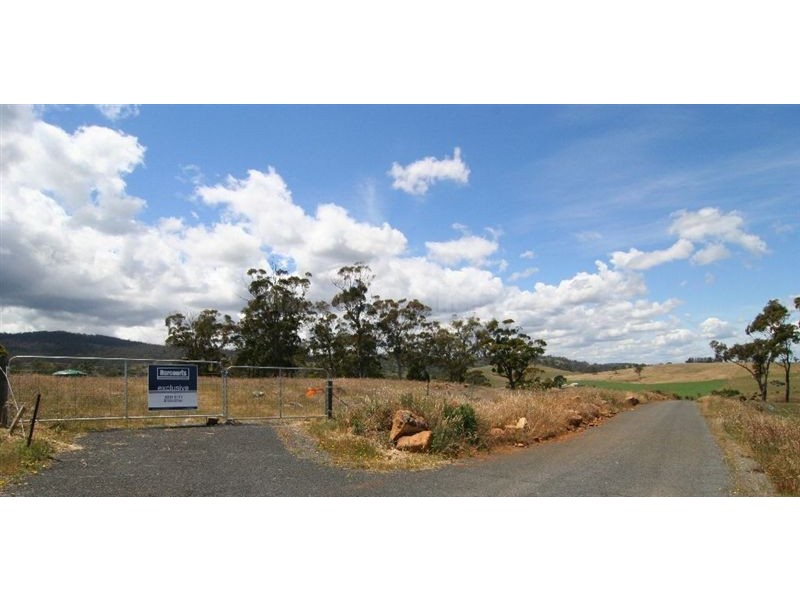 71 Peddie Drive, Dilston TAS 7252