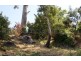 21a West Tamar Road, Trevallyn TAS 7250