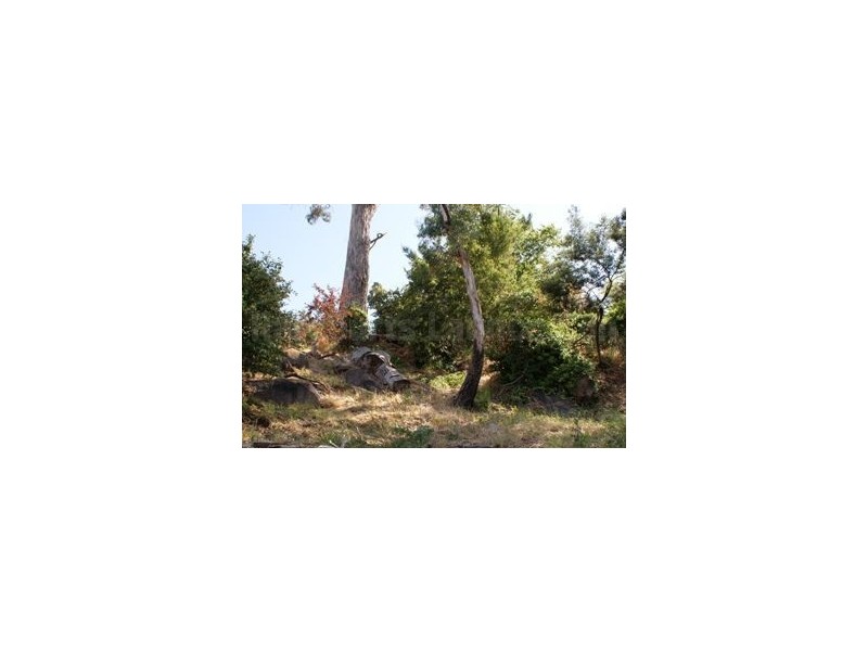 21a West Tamar Road, Trevallyn TAS 7250