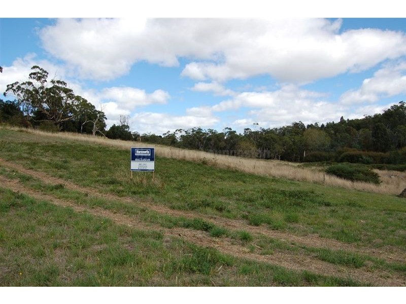 4 Hamelheath Way, Newstead TAS 7250