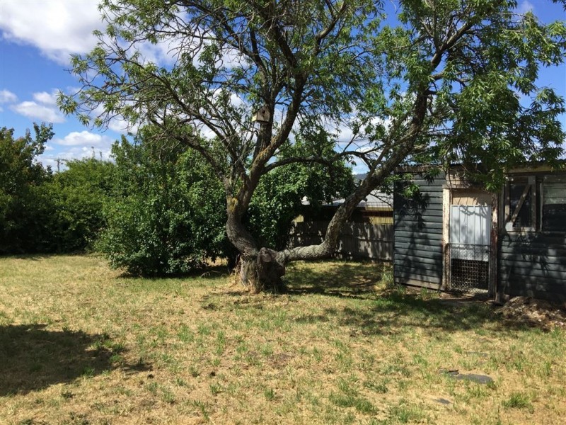 16 Walkers Avenue, Newnham TAS 7248