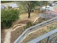 36 Crandon Crescent, Newnham TAS 7248