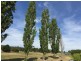 4/4 Roger Retreat, Newnham TAS 7248