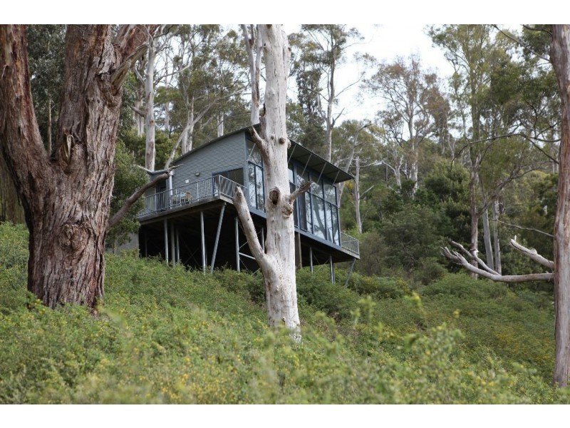 2/1a Waldhorn Drive, Grindelwald TAS 7277