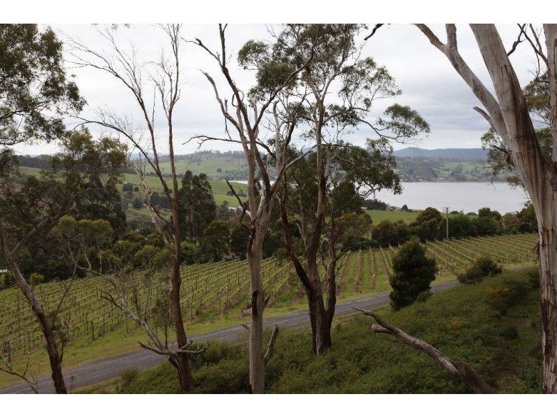 2/1a Waldhorn Drive, Grindelwald TAS 7277
