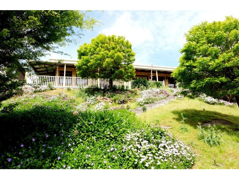 8 Lakeview Court, Blackstone Heights TAS 7250