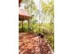 23 Queechy Road, Norwood TAS 7250