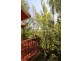 23 Queechy Road, Norwood TAS 7250