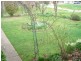 634 West Tamar Highway, Legana TAS 7277