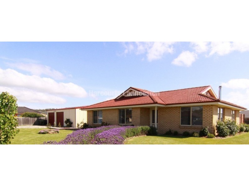 11 Nelson Place, Perth TAS 7300