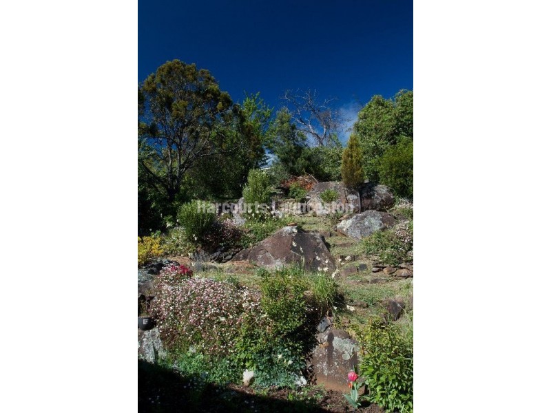 113 West Tamar Road, Trevallyn TAS 7250