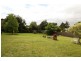 10 Freeland Crescent, Riverside TAS 7250