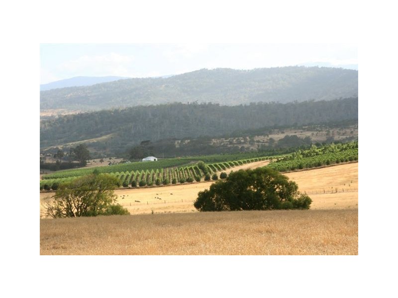 11 Egerton Road, White Hills TAS 7173