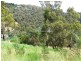 31 Quarry Road, West Launceston TAS 7250