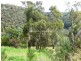 31 Quarry Road, West Launceston TAS 7250