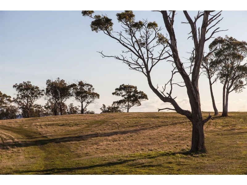 40496 Drivers Run, Tasman Highway, St Leonards TAS 7250