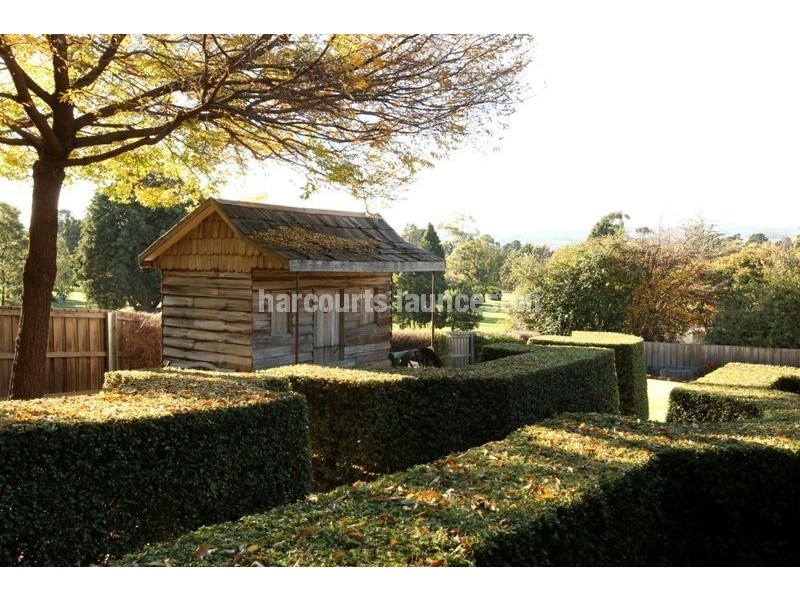 41 Freeland Crescent, Riverside TAS 7250