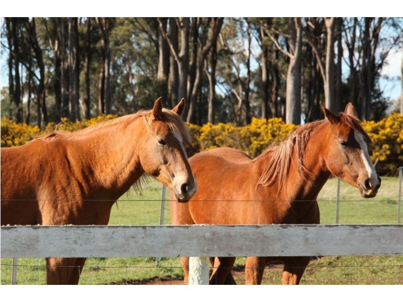 247 Bishopsbourne Road, Carrick TAS 7291