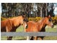 247 Bishopsbourne Road, Carrick TAS 7291