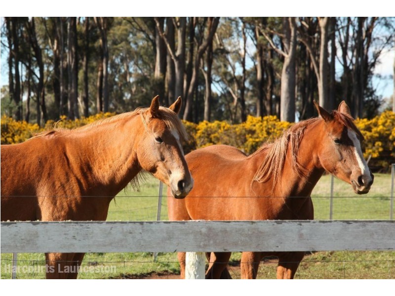 247 Bishopsbourne Road, Carrick TAS 7291