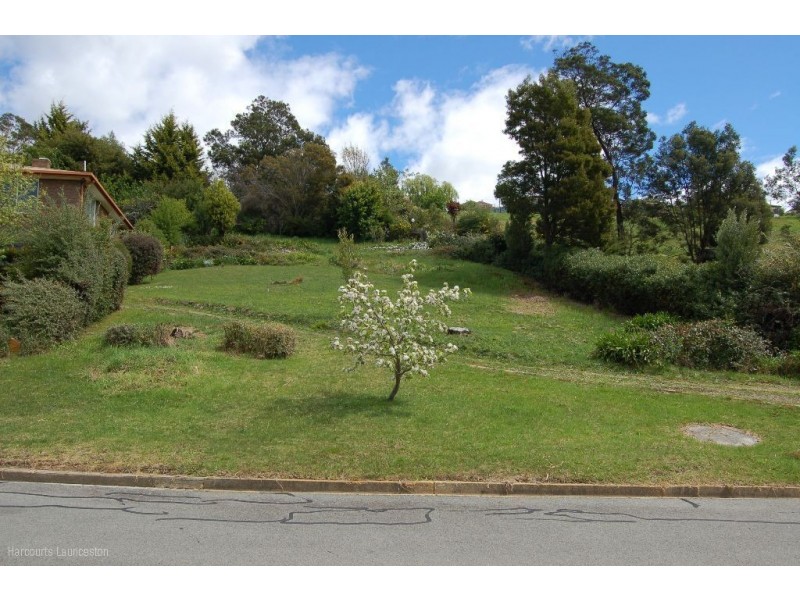 82 Junction Street, Newstead TAS 7250